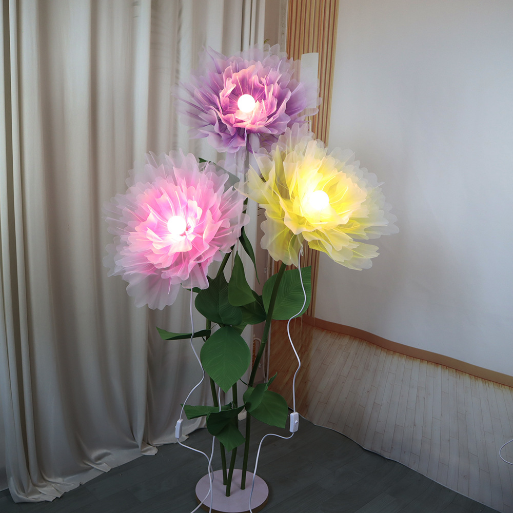 НОВЫЕ 3D цветочные огни, ткань – обзор и цена Photography Lighting Layout